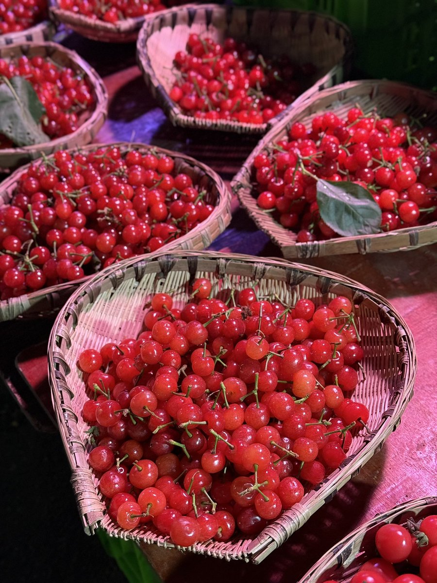 Boooo波妞! tweet media