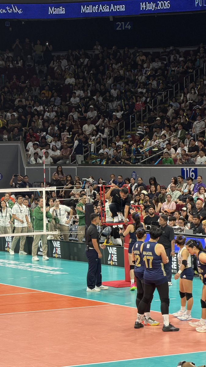 animo dump 🏹 tweet media