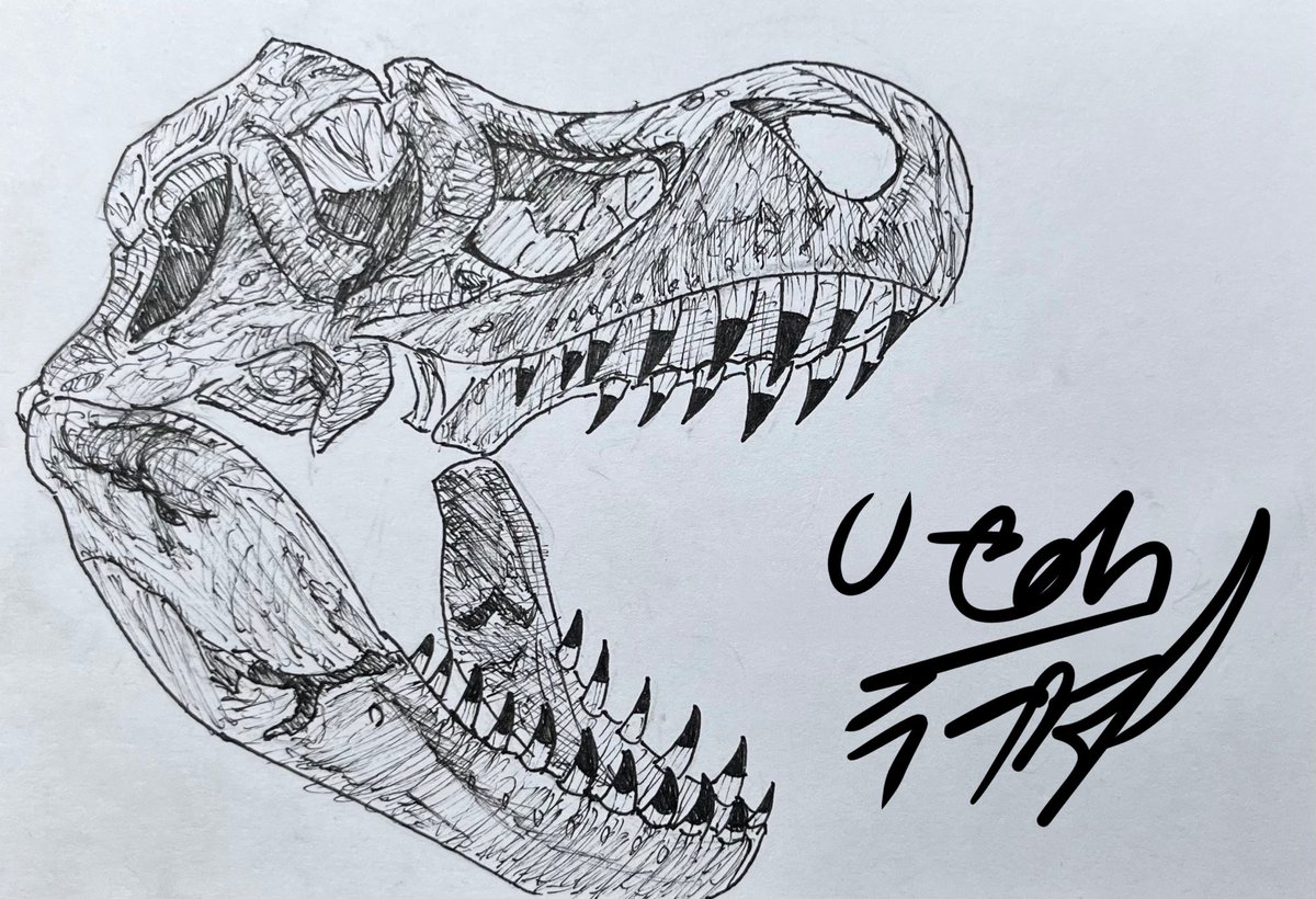 Utah/ラプター tweet media