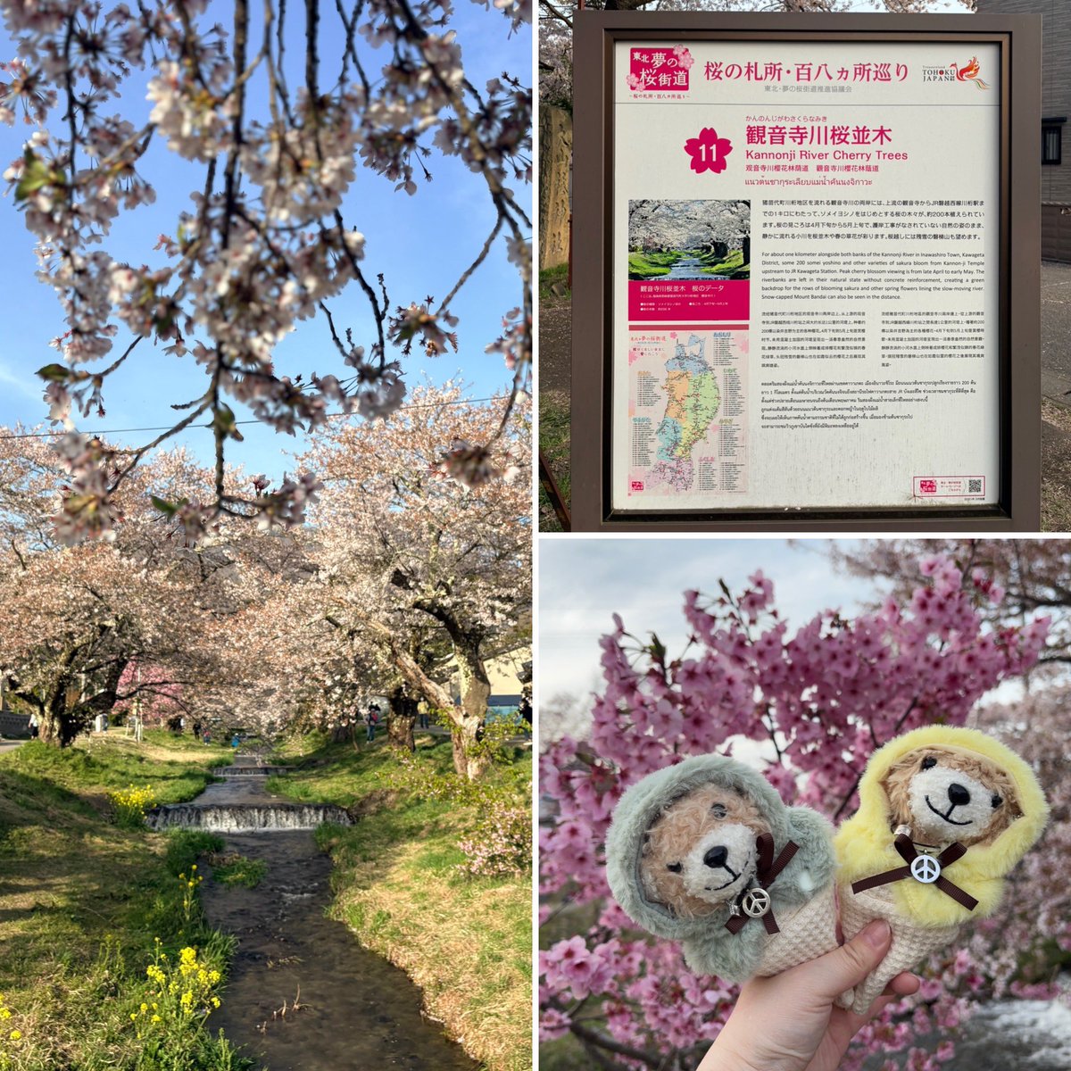 みかのん tweet media