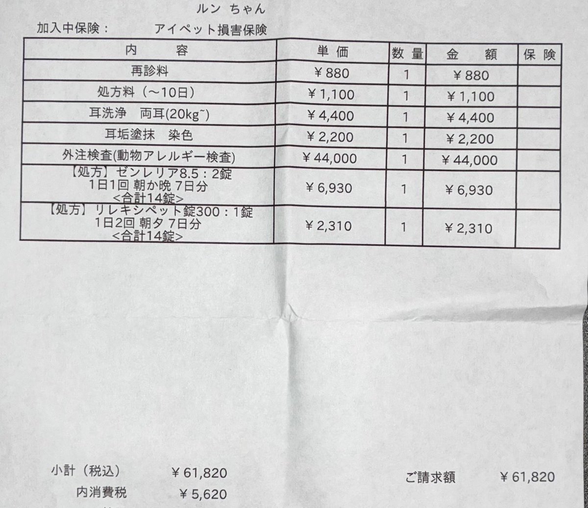 るん♀ゴールデンレトリバー tweet media