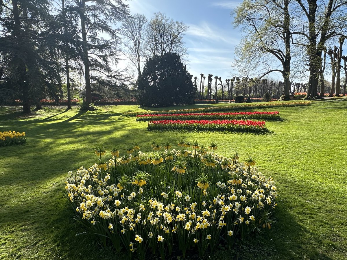 orestis_113's tweet image. #tweet ❤️