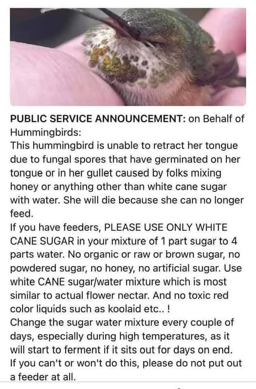 Papa Woof und Krampus und Bleaken tweet media