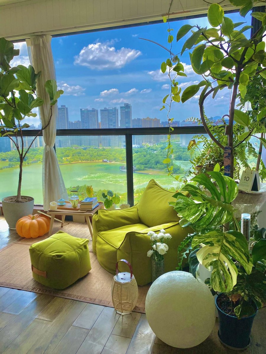 steve nichoals tweet media