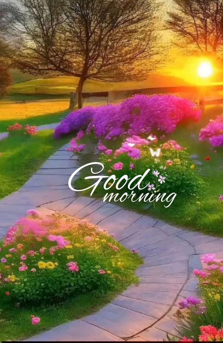 G12Rocco's tweet image. Good Sunday Morning All☀️😎🌻Hope You All Have a Wonderful Sunday🙏🏻 #SundayMorning