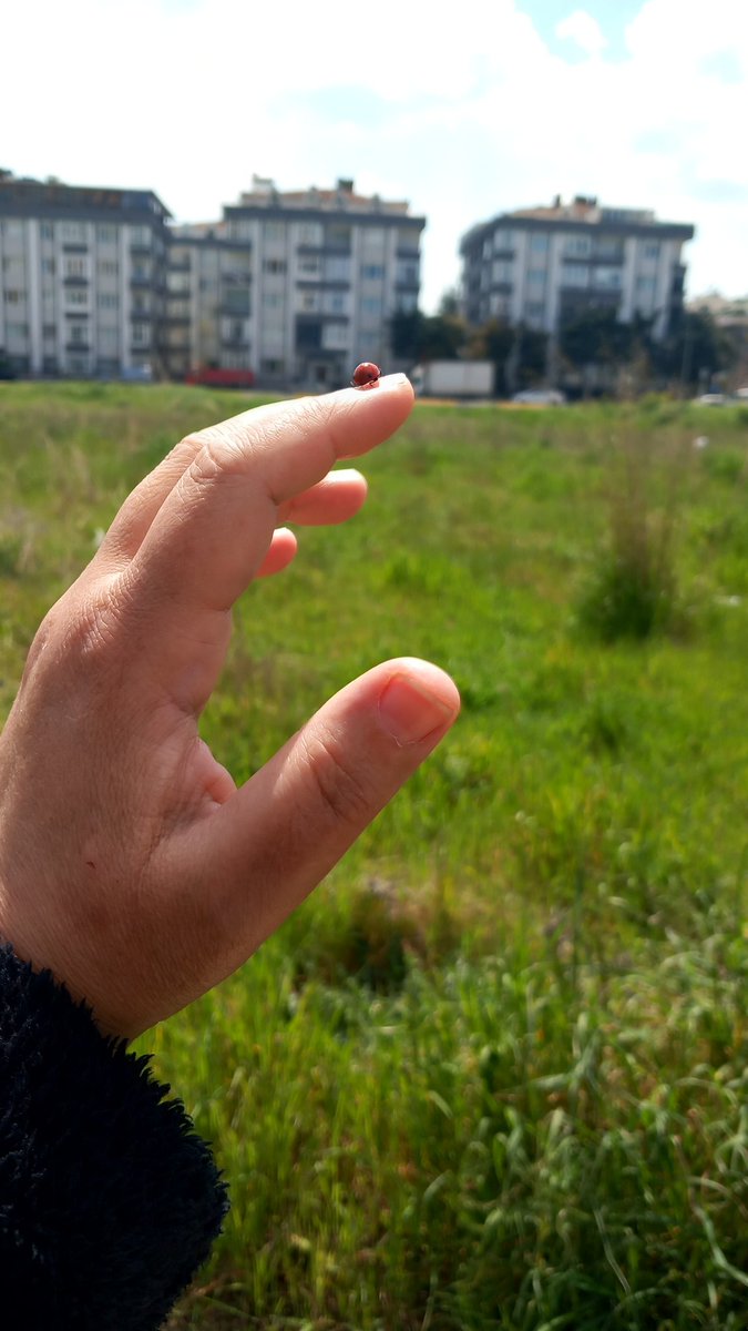 €M€L tweet media