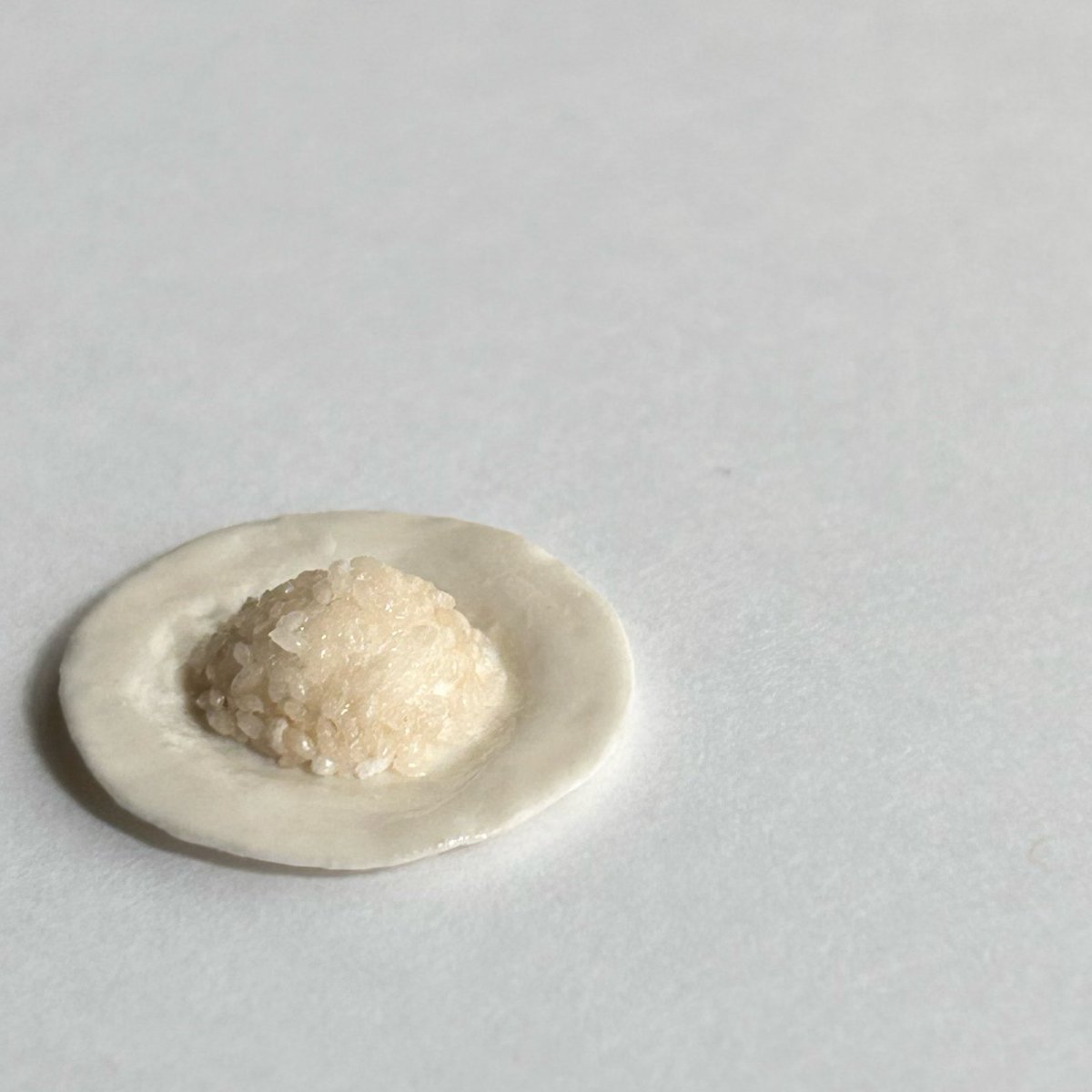 あうむ #カミニチュア tweet media