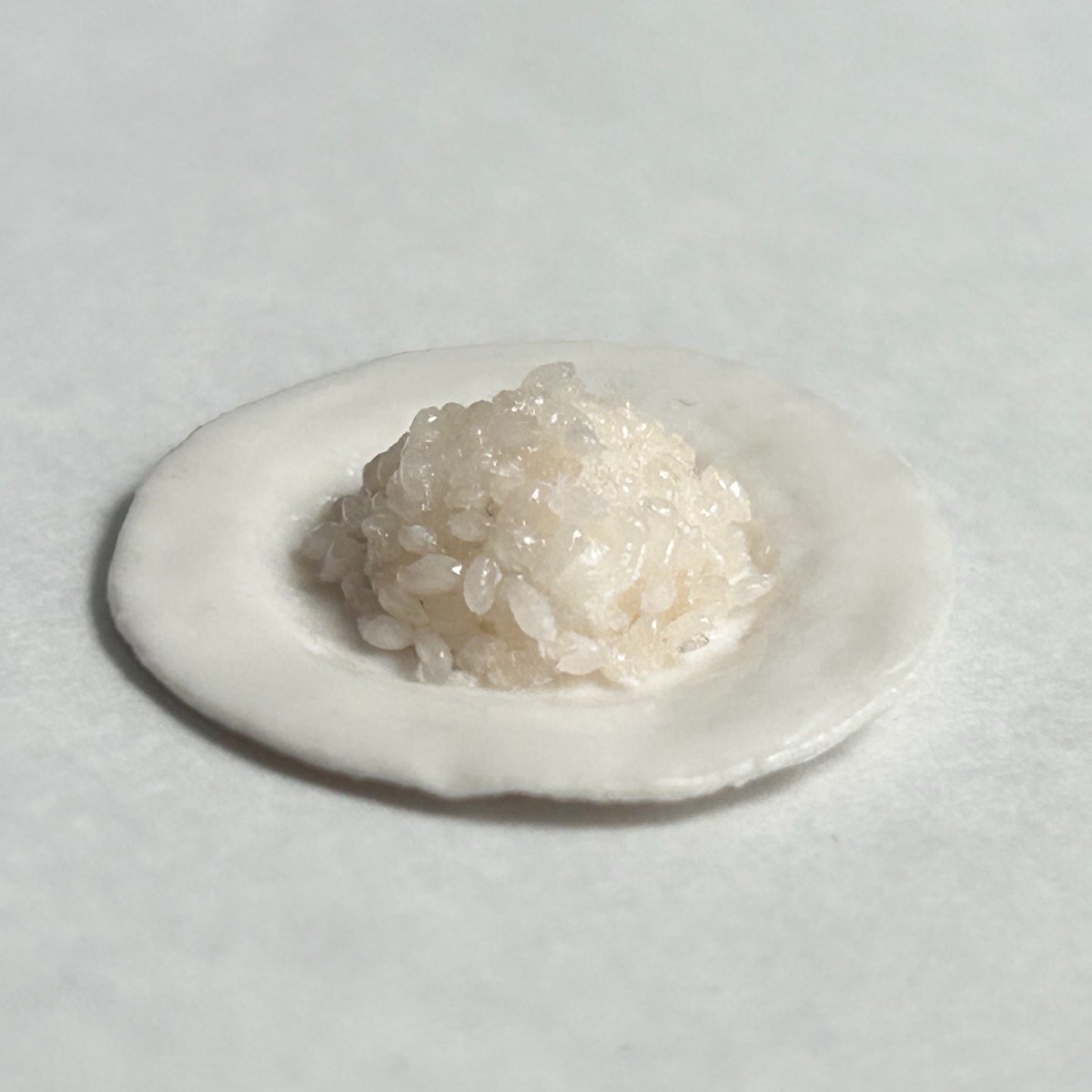 あうむ #カミニチュア tweet media