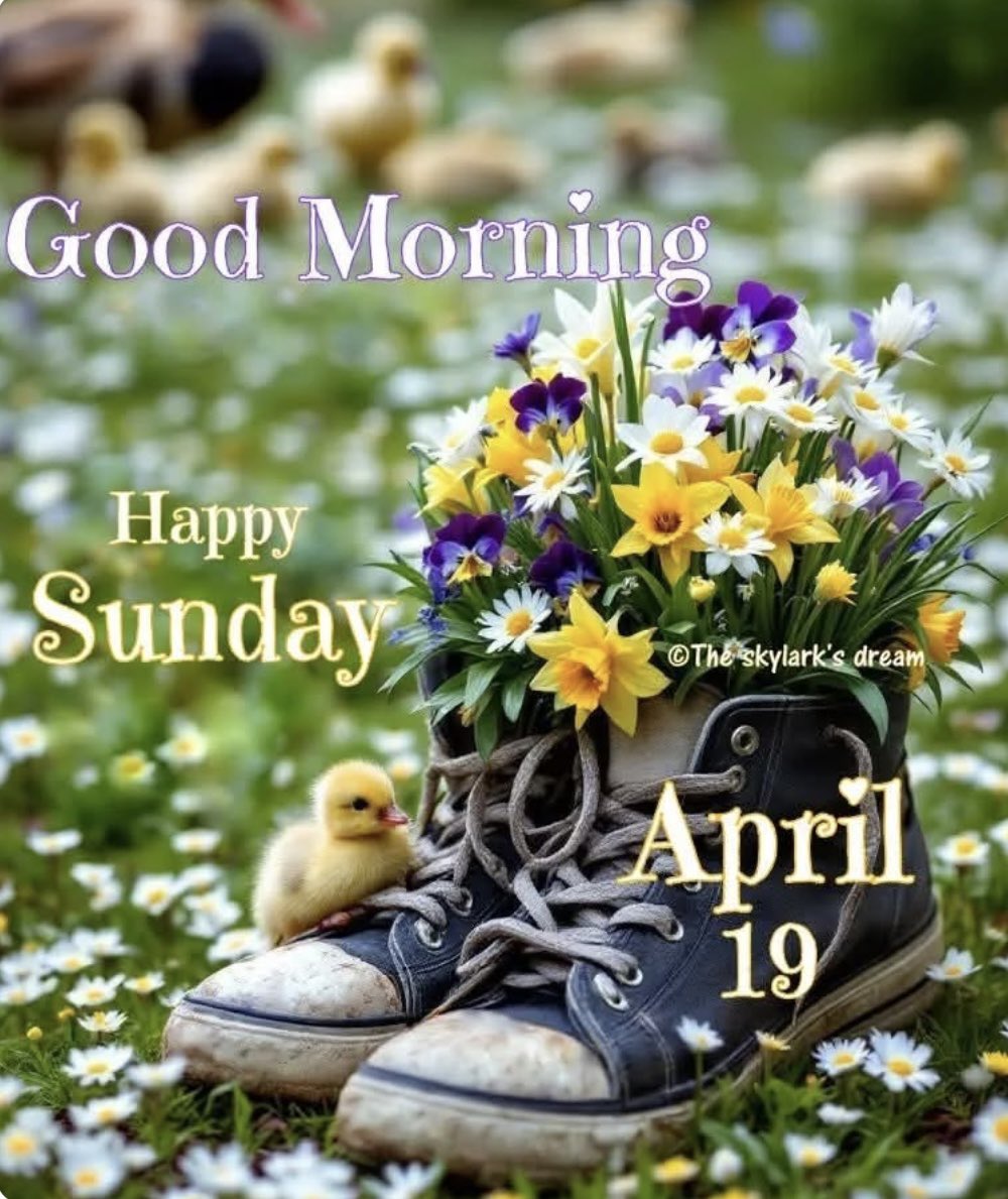 ninsthewriter's tweet photo. Have a lovely Sunday ! 🌼🍃 https://t.co/nT988nlb9Q