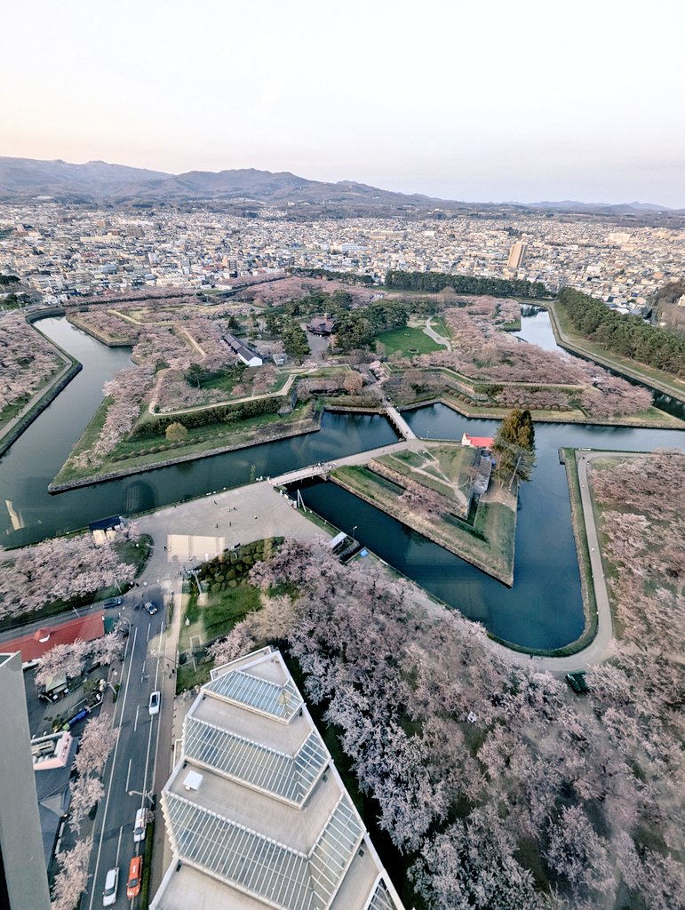 しまざき tweet media