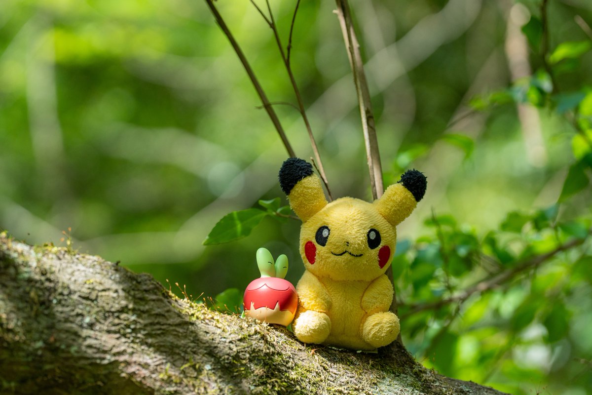 おもち tweet media