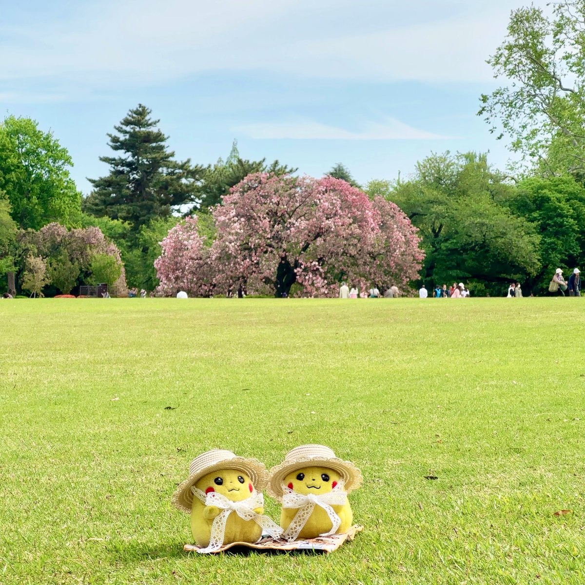 ちょっと一息🌳