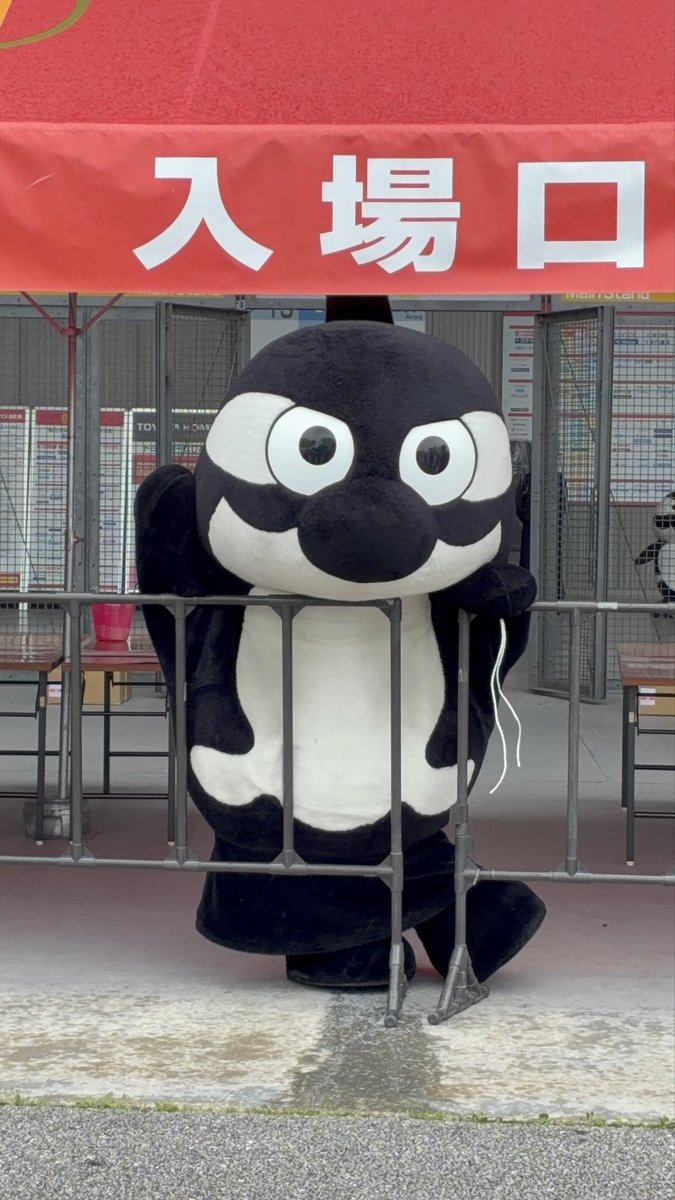 しゃっちー🍓 tweet media