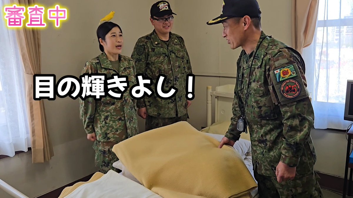 ちっぴぃちゃんズ tweet media