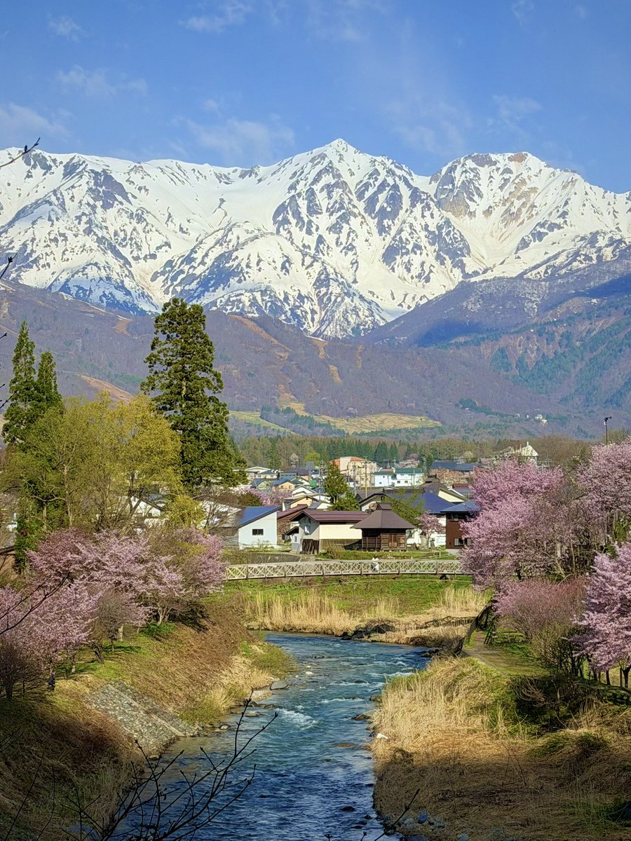 上ちゃん　(FD2とJA4) tweet media