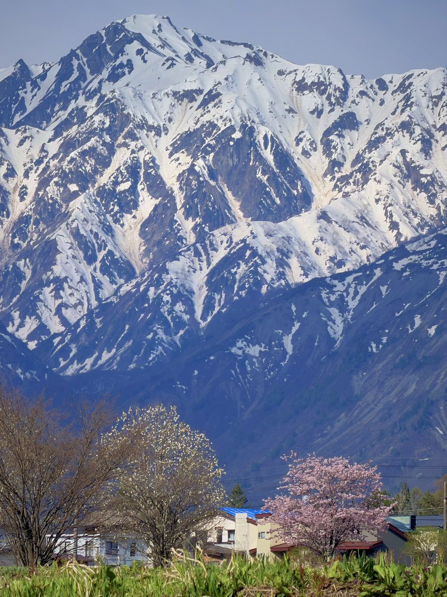 上ちゃん　(FD2とJA4) tweet media