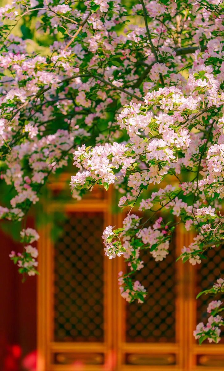 带着瓷器去跑步（互fo💯） tweet media