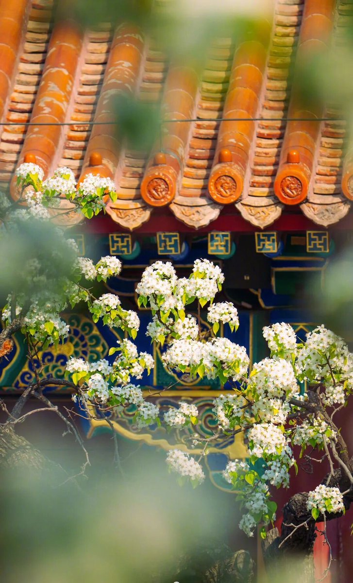 带着瓷器去跑步（互fo💯） tweet media