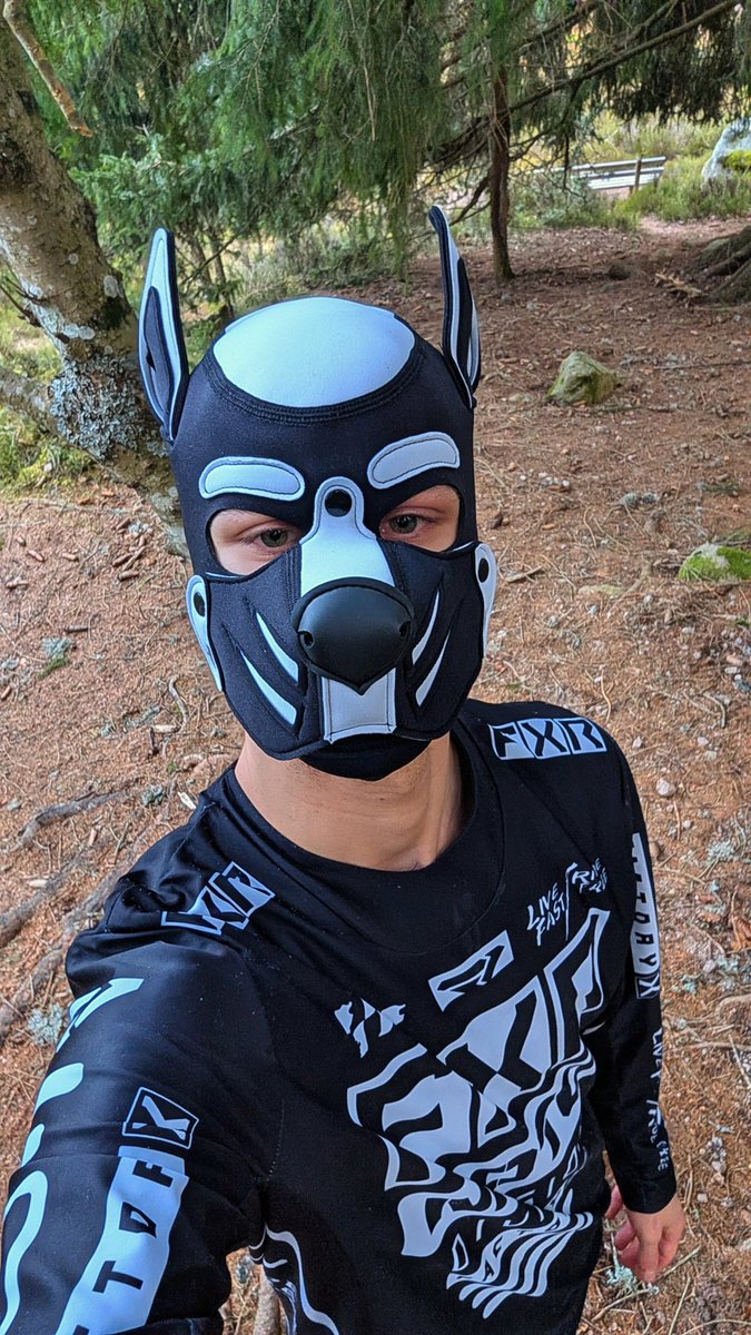 mxgearpup-leon tweet media
