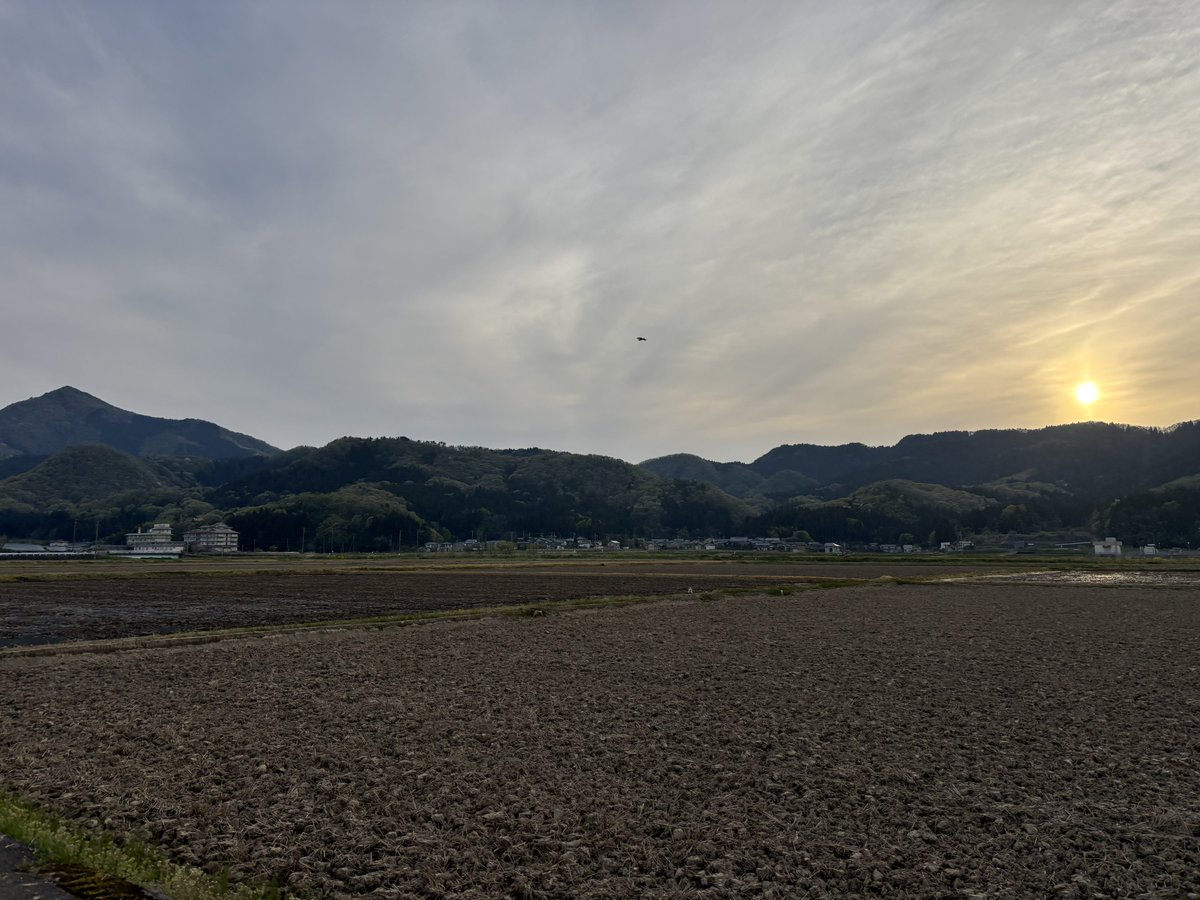 Wikipedia tweet media