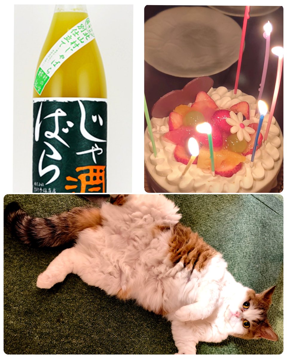 くるみ(大阪府/開業社労士) 🐶 tweet media