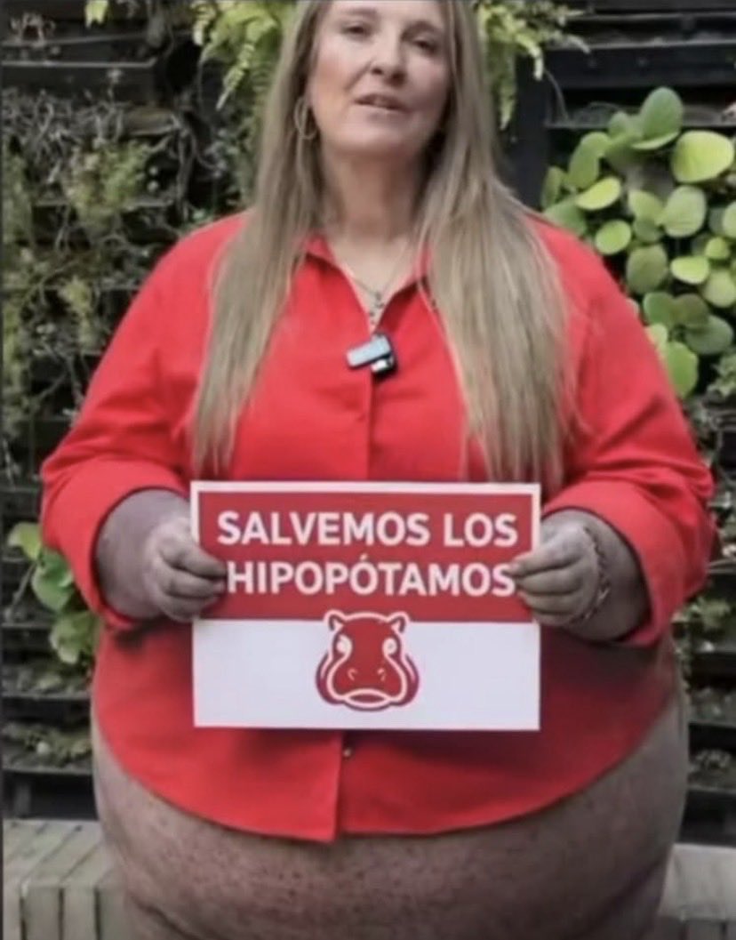 Soldado Universal tweet media