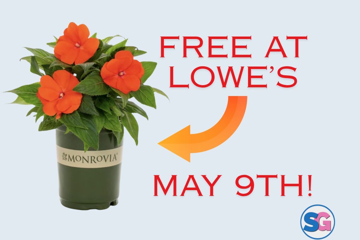 SwagGrabber tweet media