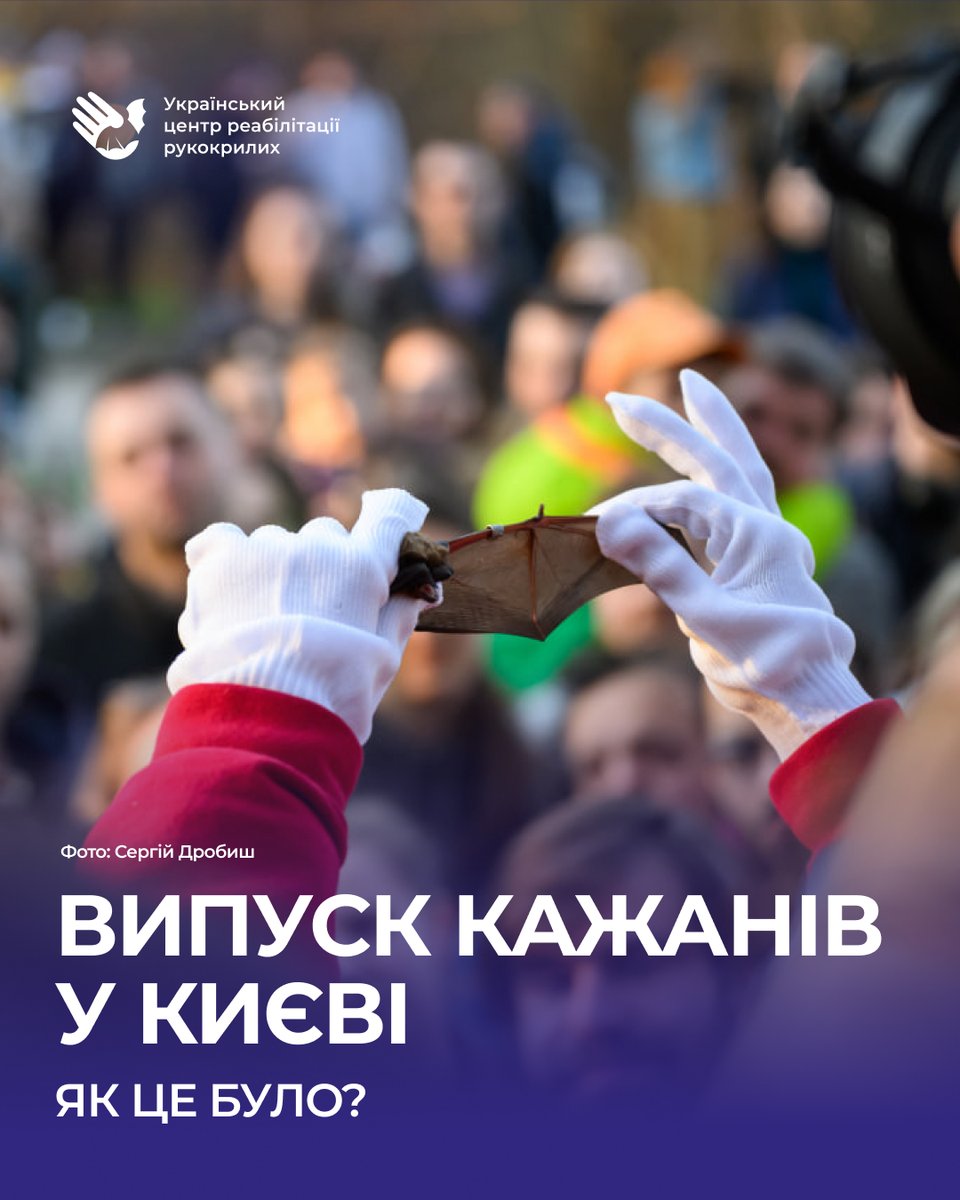 Як пройшов випуск в Києві?