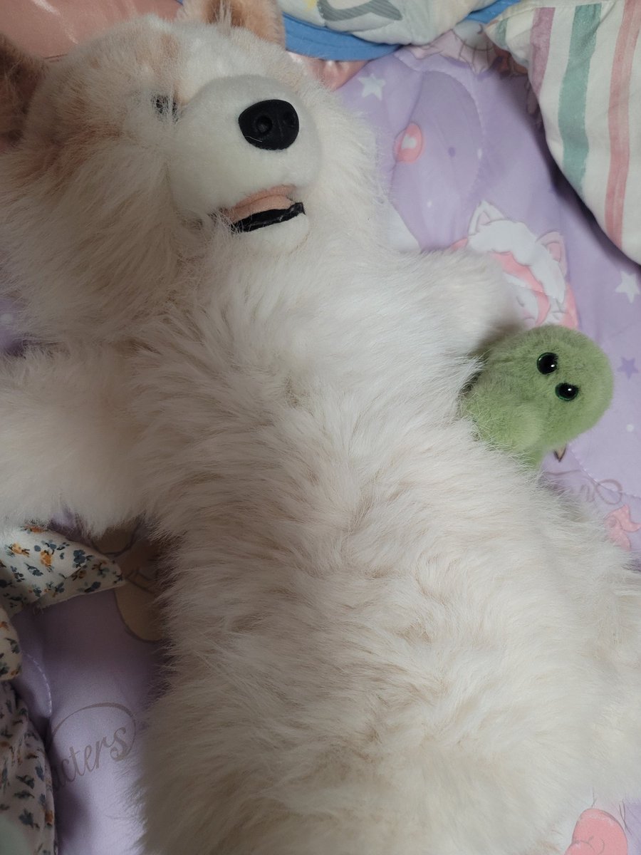 るぅたん tweet media