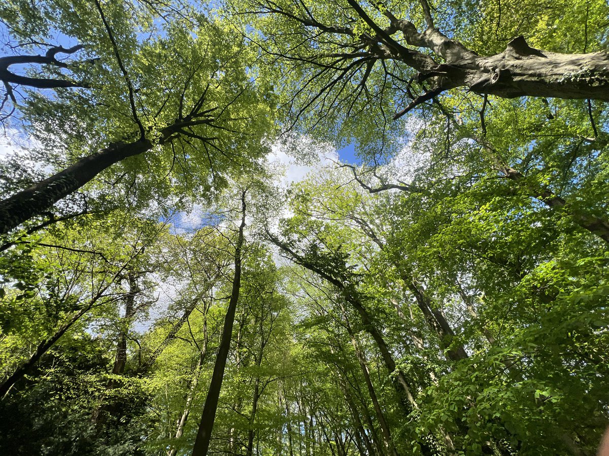 silentpath tweet media