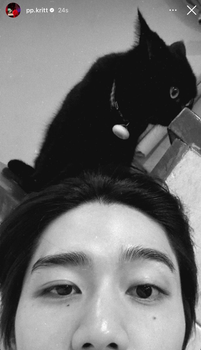 super 𐐪ṕ𐑂 jieww🧸ྀི tweet media