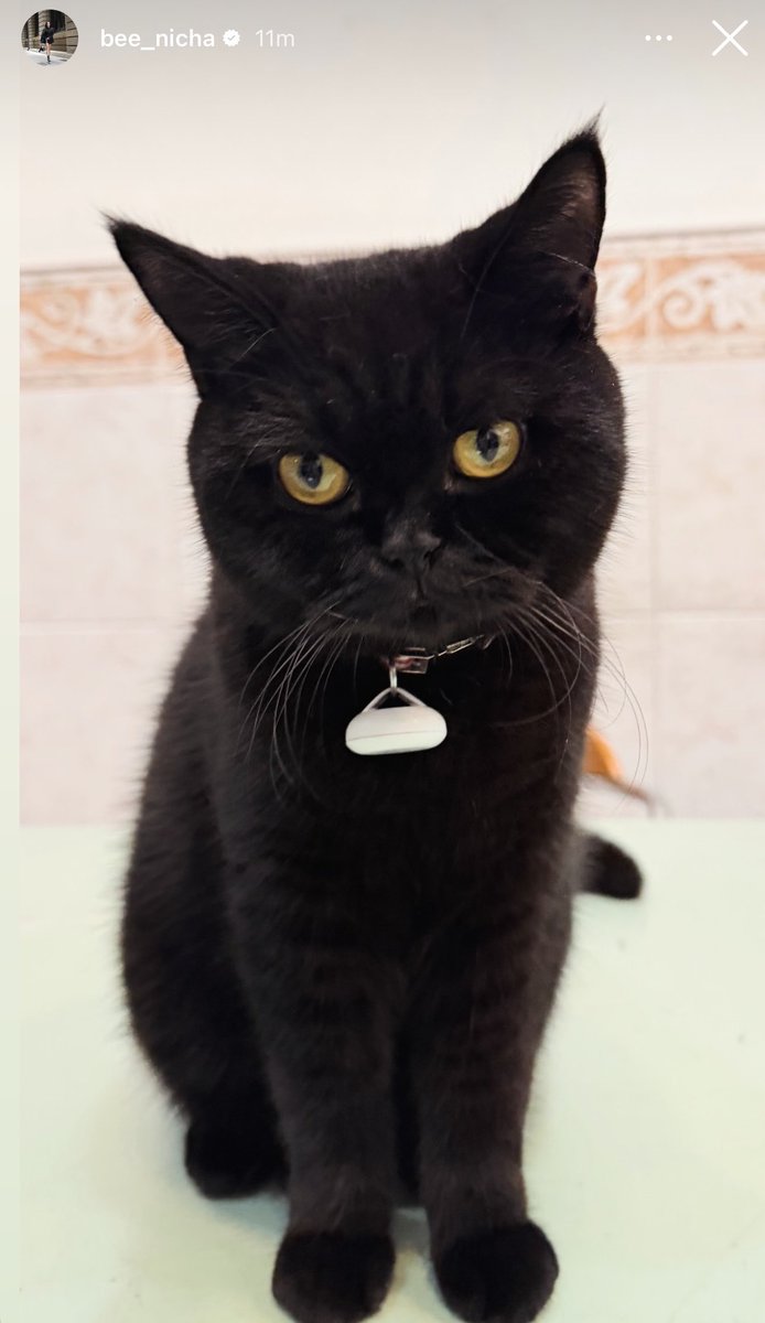 super 𐐪ṕ𐑂 jieww🧸ྀི tweet media