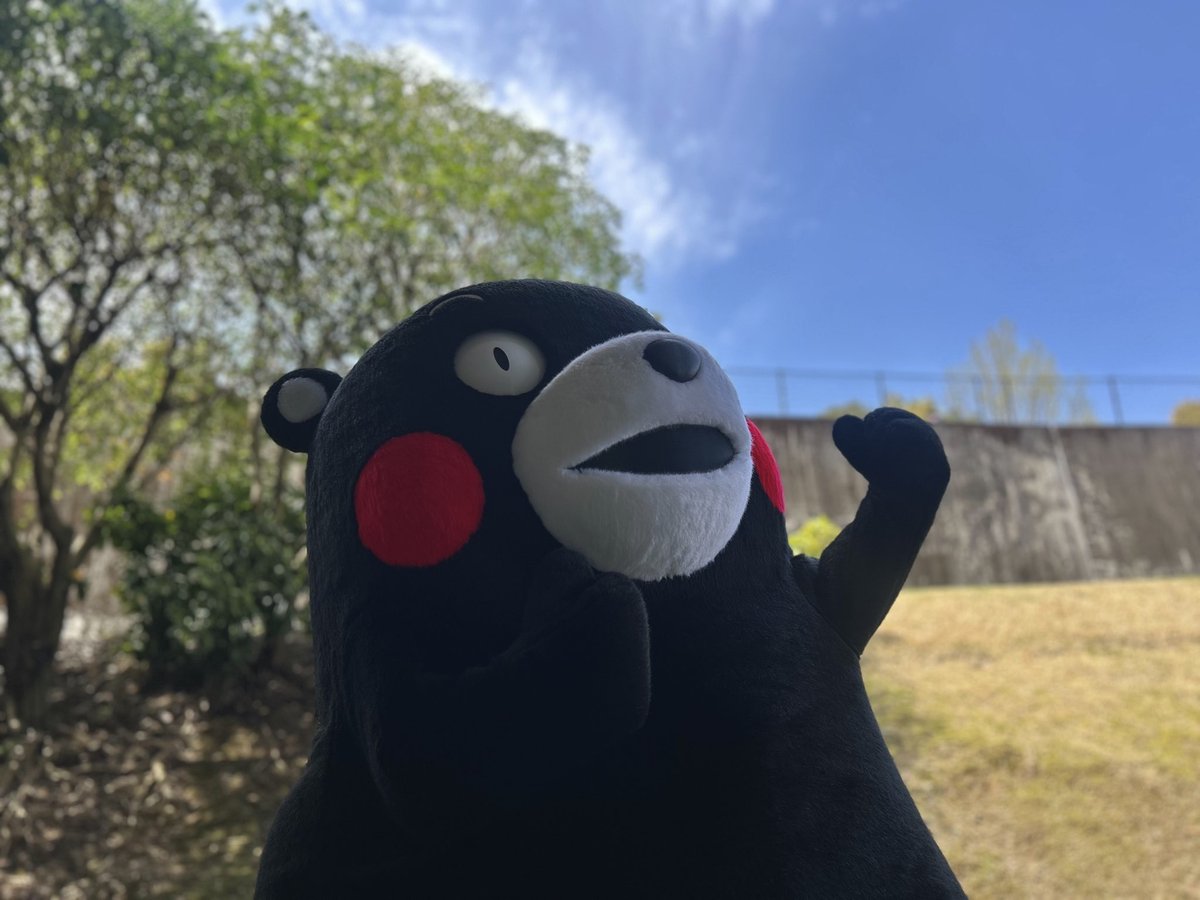 くまモン【公式】 tweet media