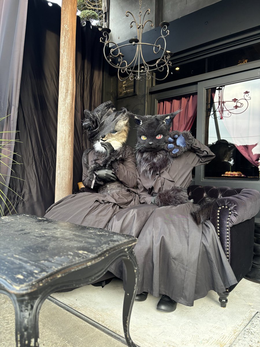 FurryFenrirxoxo's tweet photo. ティリルちゃんと🐈⬛🐾
ウチのお店のテラスで🛋️
ゴス合わぢゃ🖤🩶
#流山本町
#翡翠ちゃんHappyBirthDay
#ladye
#LadyEpsilon
#イプシロン
#イプシタイズ
#着ぐるみ
#ケモノ
#リアル系
#FursuitEveryday #furry #fursuit #kigurumi #furrygir #furryartist
#コスプレ
#コスプレイヤー https://t.co/mPruO5pvHL