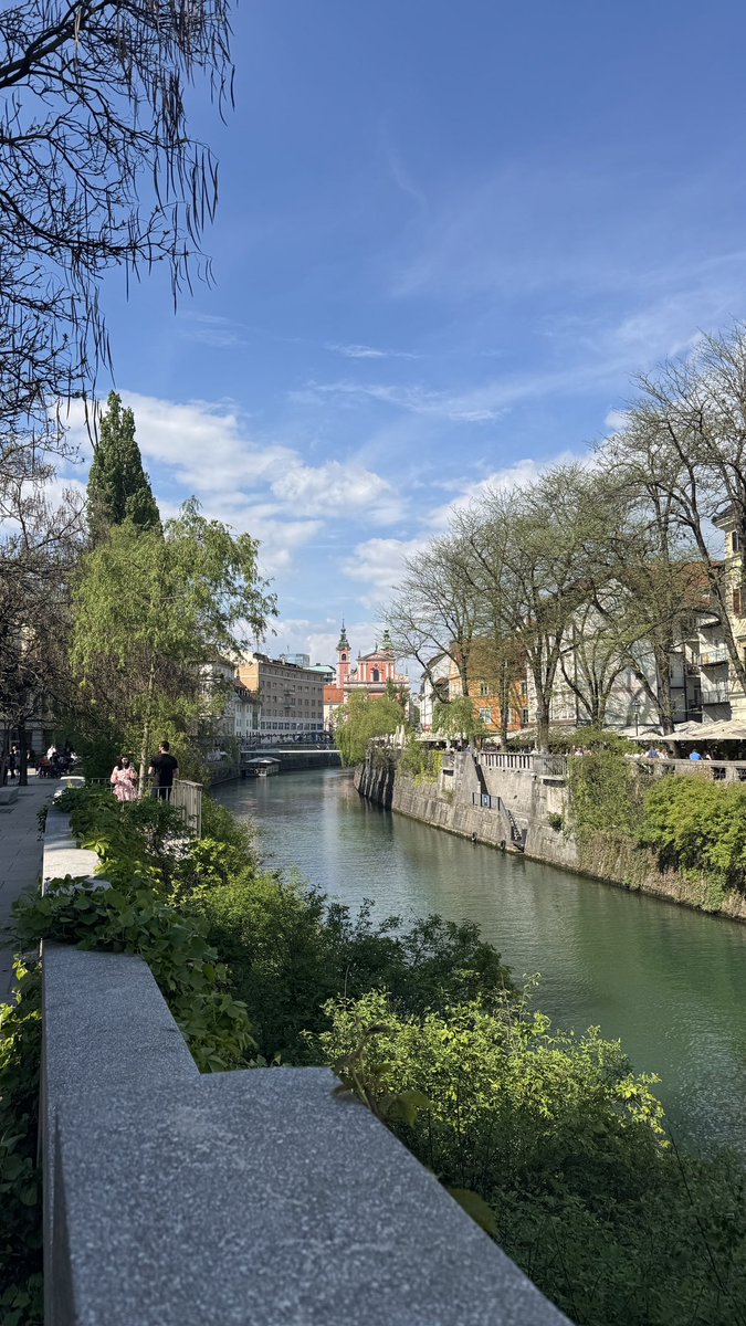 ilodi wow tweet media