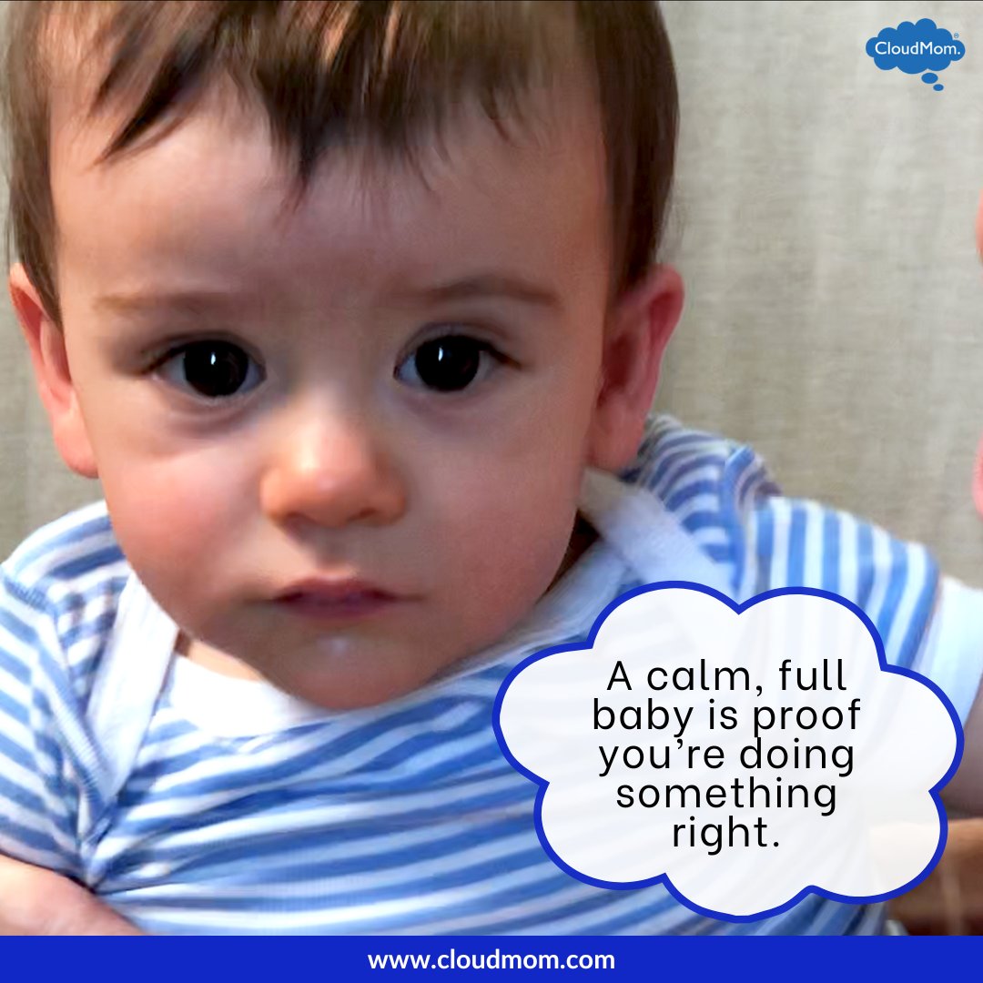 Melissa Lawrence tweet media