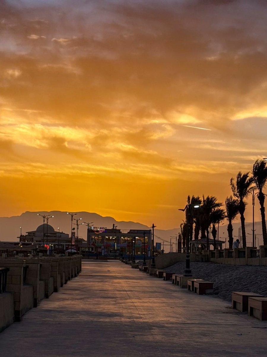 السويس ـ Suez tweet media