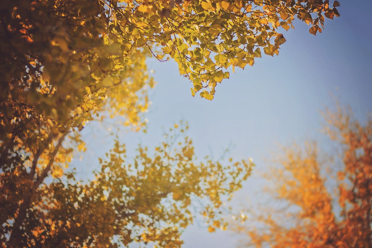 Valeria Lera tweet media