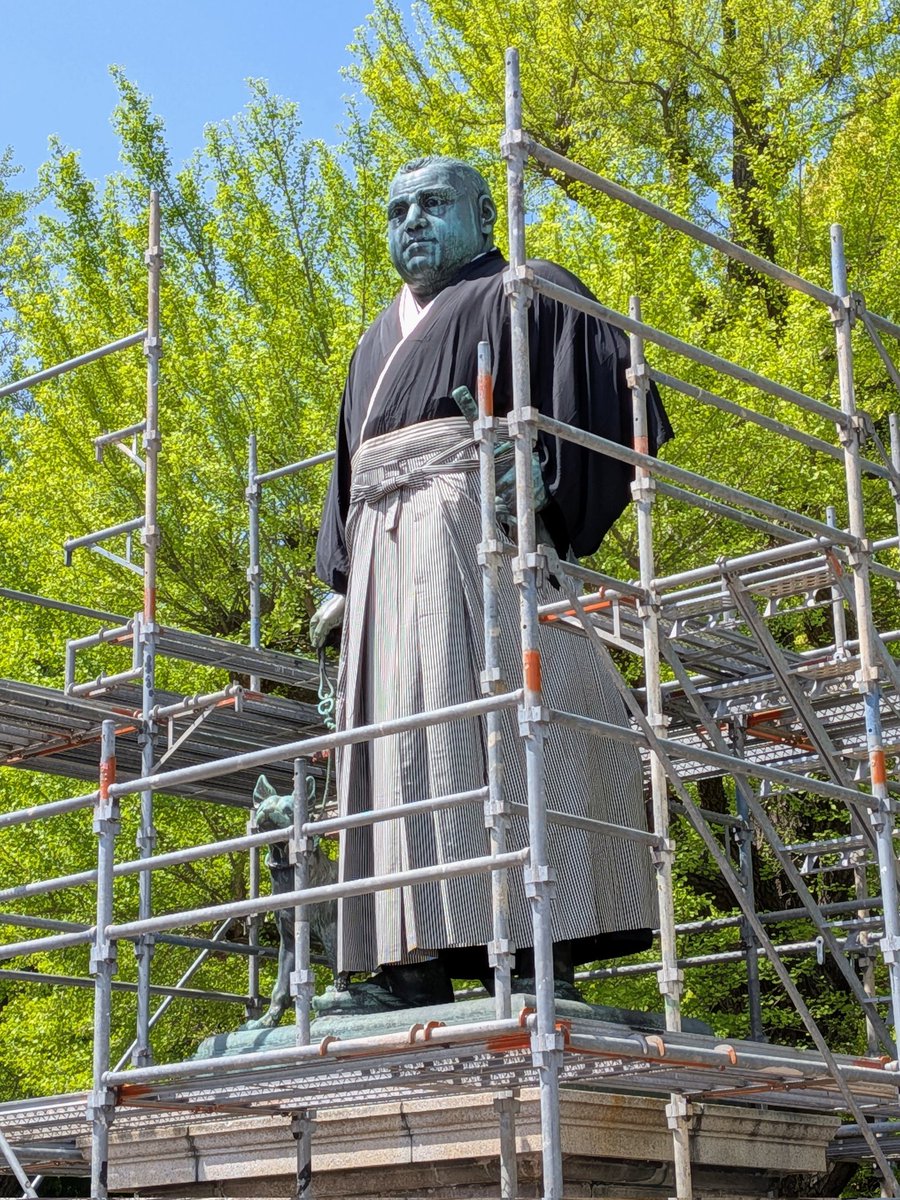 Tora-jima tweet media