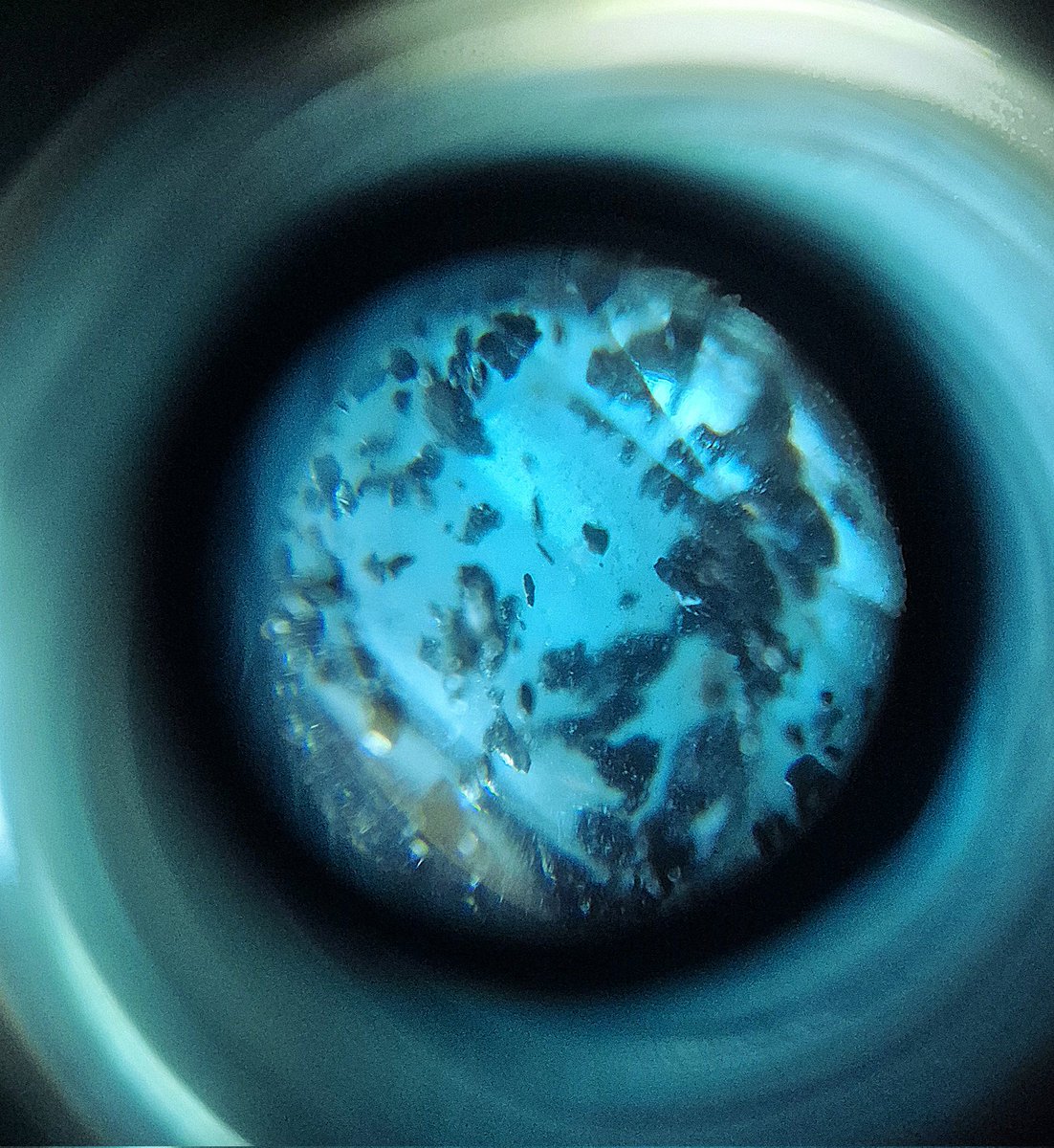 렌즈 너머의 바다