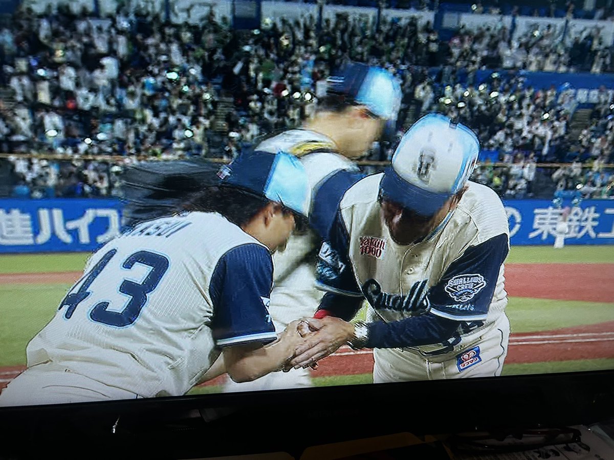 やん。 tweet media