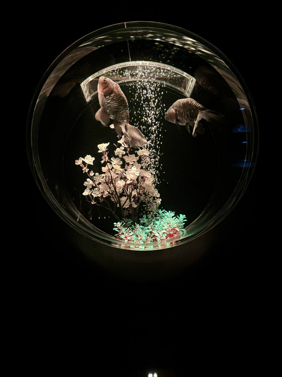 chipstar tweet media