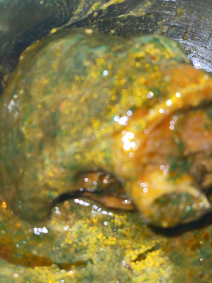 Talk2veee tweet media