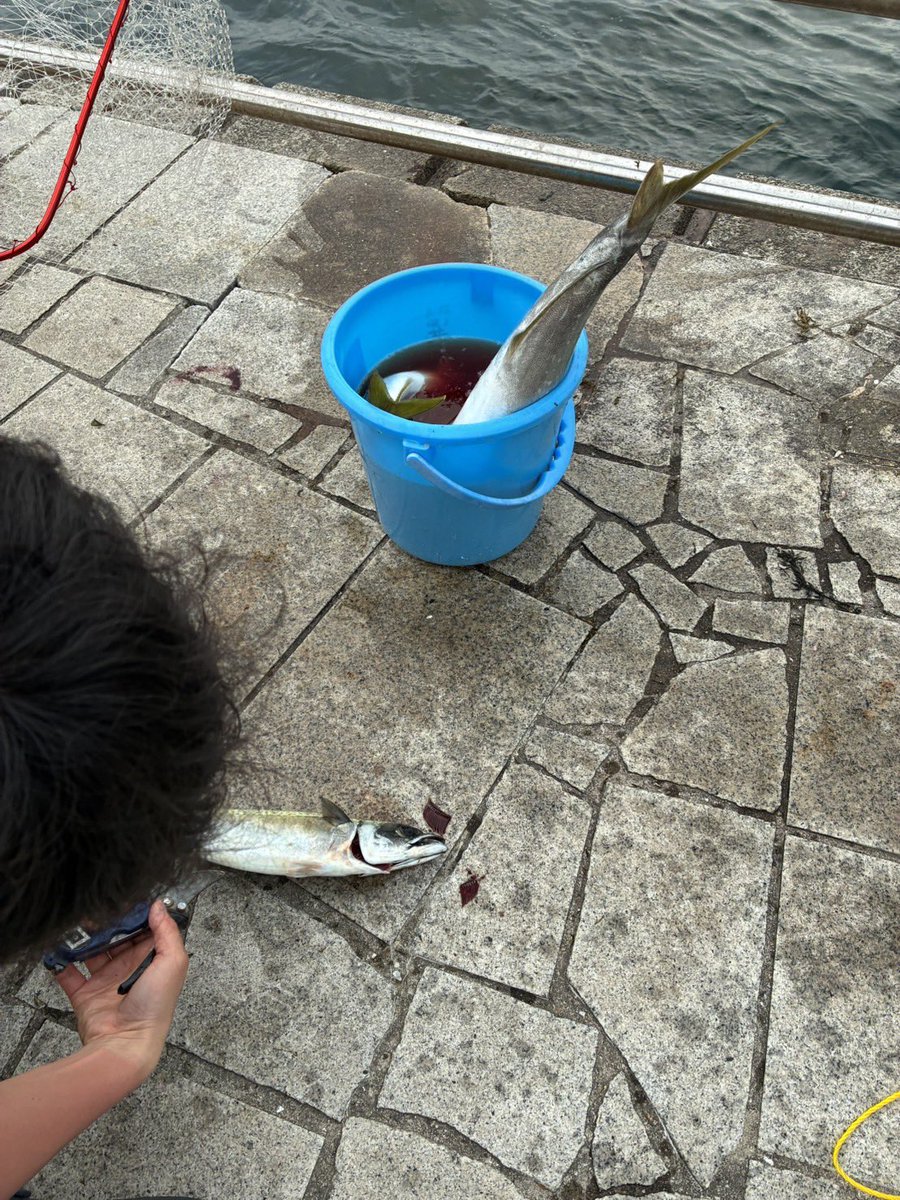 🎣Yuhei tweet media
