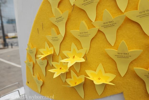 Jacek Liberski 🇵🇱🇪🇺🇺🇲🏳️‍🌈 tweet media