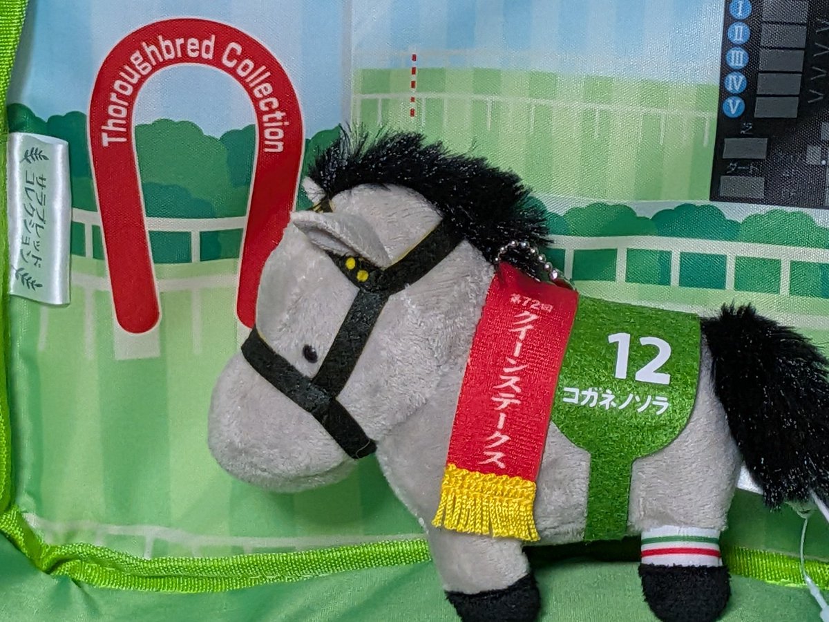 今日の福島牝馬ステークスは、コガネノソラちゃん軸にしていたので、かなり！当たりました🎶 嬉しいね、めでたいね🎶 パンジャとピンキープロミス、ネイチャーシップもめでたかった🎶