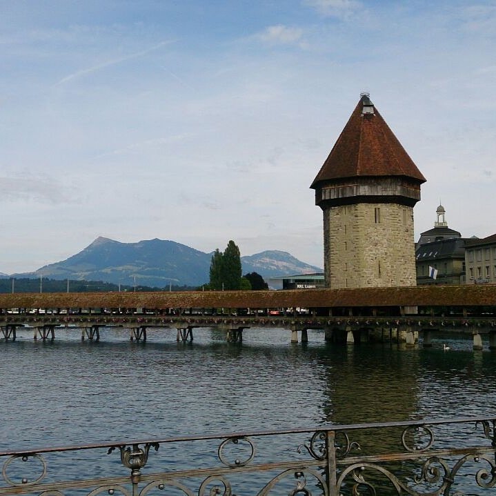 mridulachakraborty.🇮🇳 tweet media