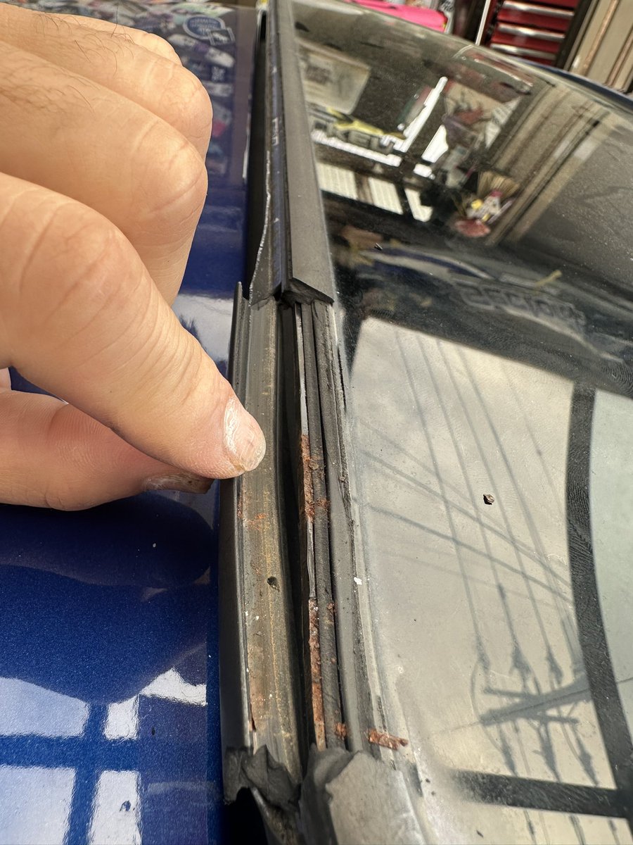 ドリチル tweet media