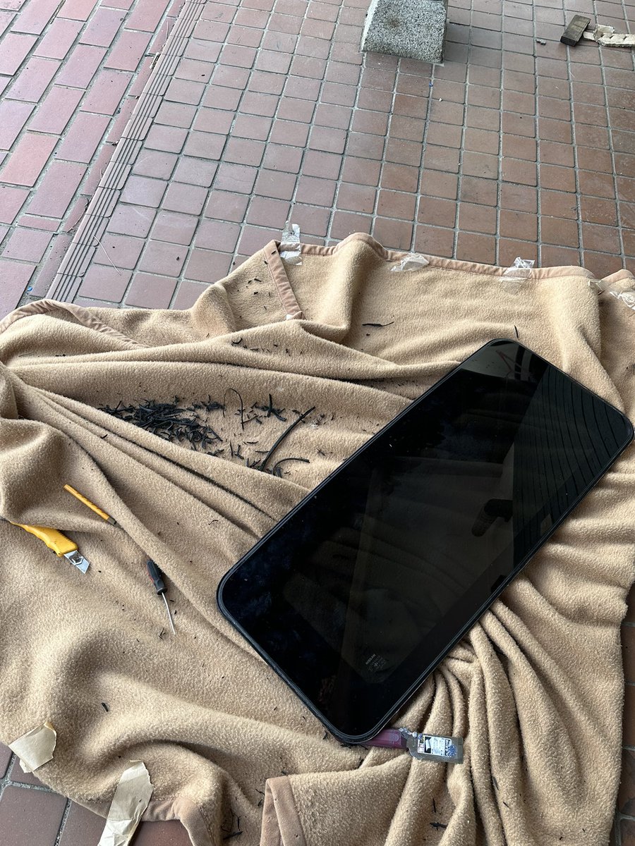 ドリチル tweet media