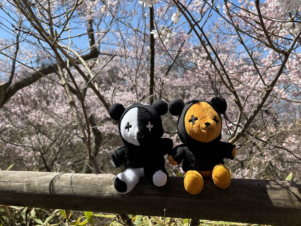 miorine🌙 tweet media